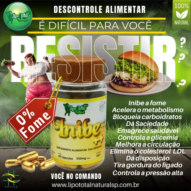 INIBE++